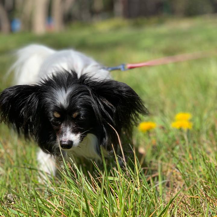 Ecc512ca 9a3e 4c5b 8e66 1efcdb880e59 1552881127702