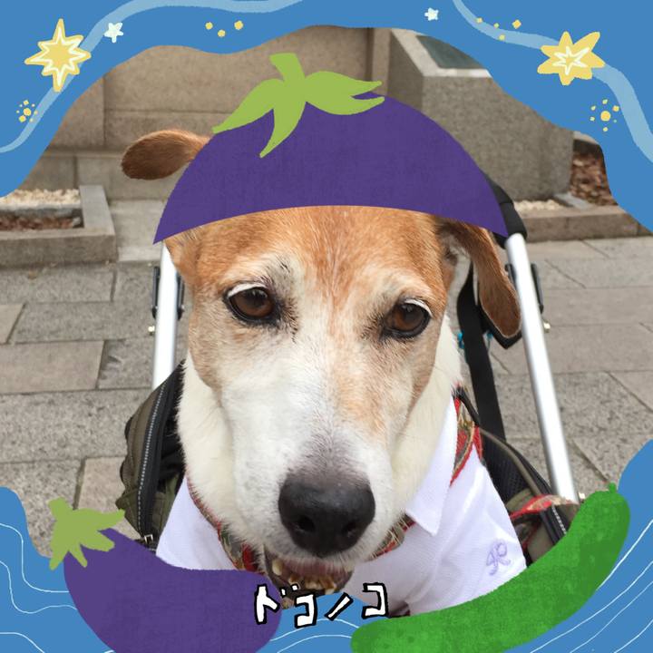 Ecc51e9a 2dfc 4fd6 9dd9 9f69d1cb6215 1755061520386