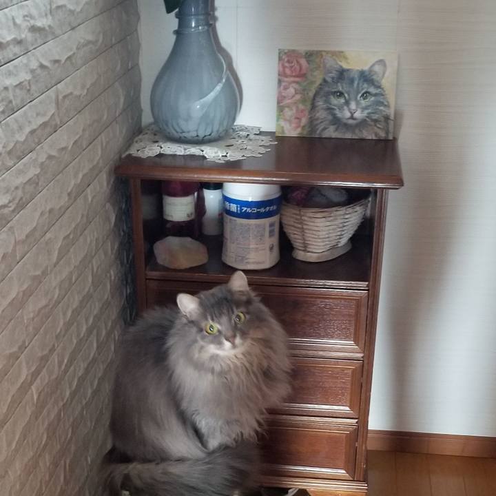 Ecc56507 6629 44dc 9711 1dabd7073b8a 1586994282279