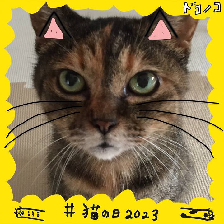 Ecc57057 4052 444a b9ce 8dcb02f72ccd 1677051284519