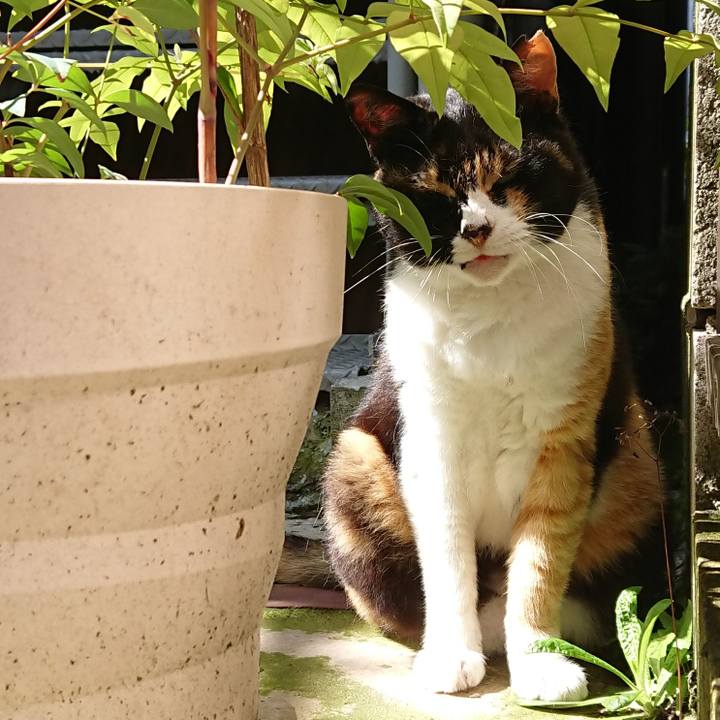 Ecc58972 8ad6 4cdc b718 25b4d5dc1eac 1688255277697