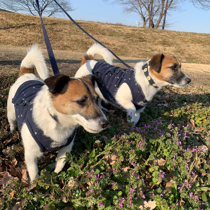 Ecc5b927 b3cc 4e6a a34a d992dbe3aa08 1613827262816