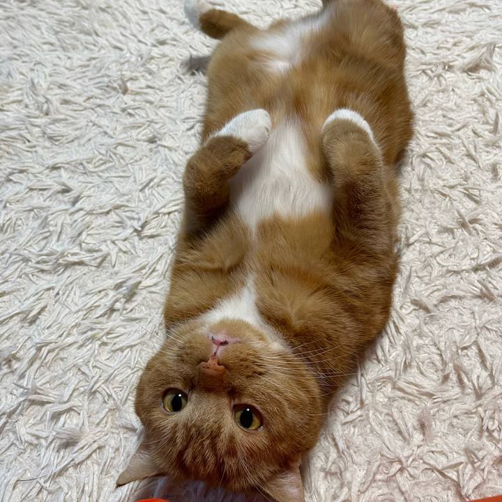 Ecc5c1d2 7ee6 456e ade5 e2777c62e1e7 1662800726213