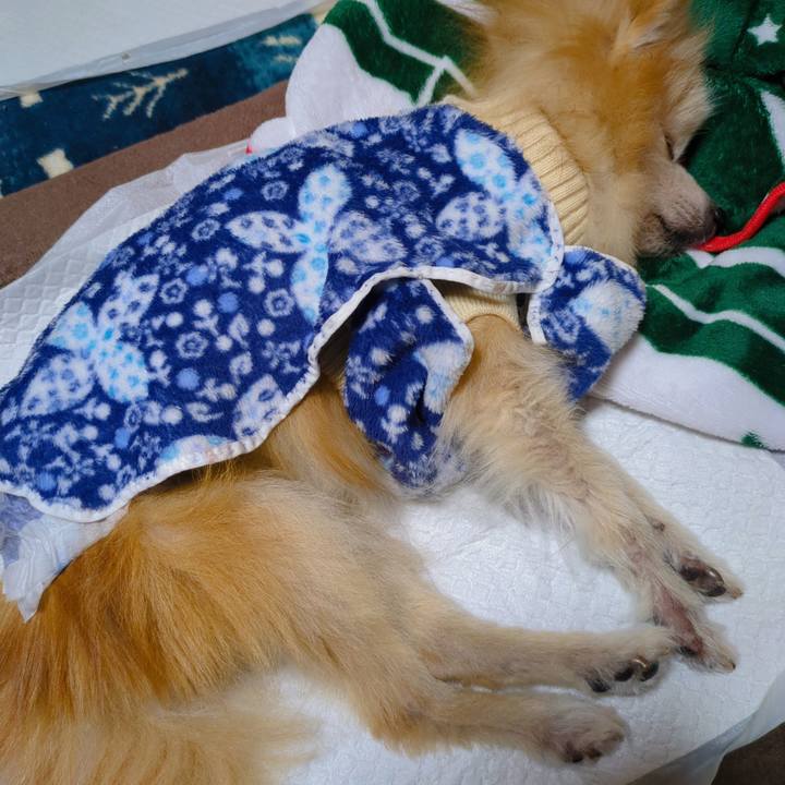 Ecc5ddc7 c8e6 413f 8391 206356225459 1734217454454