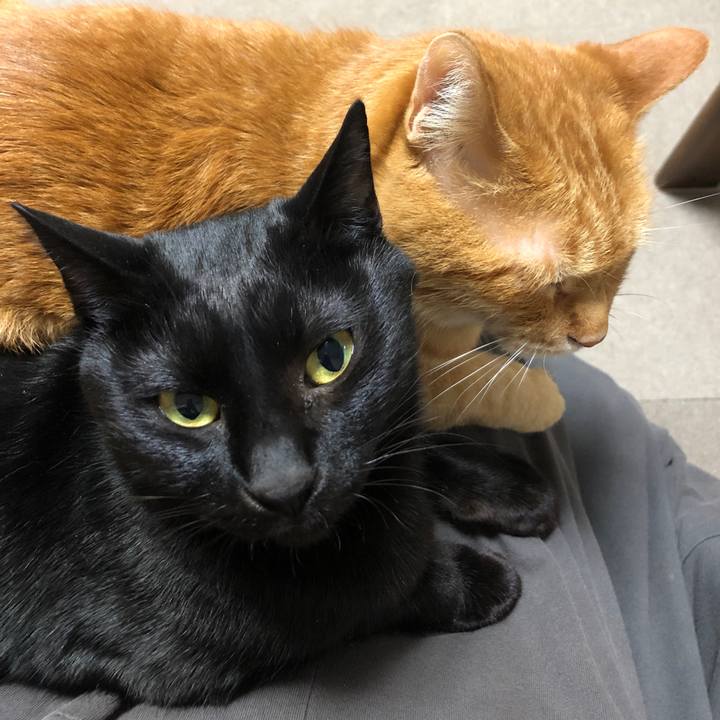 Ecc5f6e8 20b7 4e81 b29e 5a6571ee0df2 1674992787592