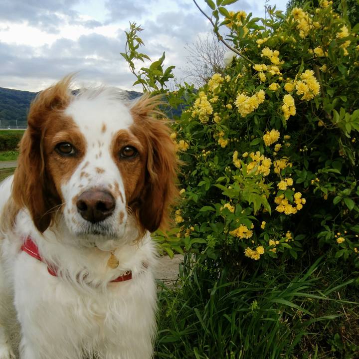 Ecc5fc30 0b42 480b accb b67248be97dd 1556281100357