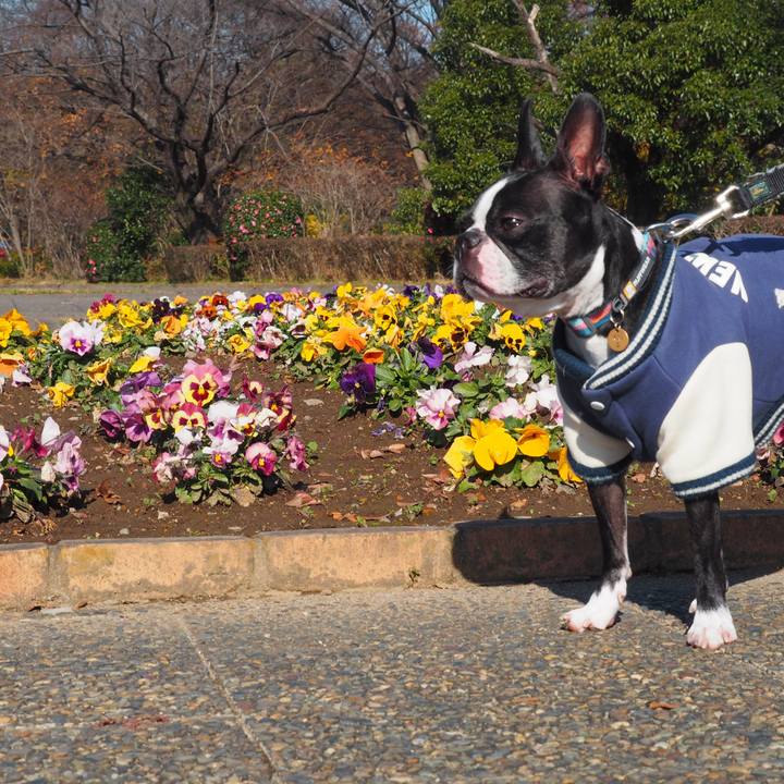 Ecc60385 ae5b 4d50 903a 00a6b48a2619 1639402402787