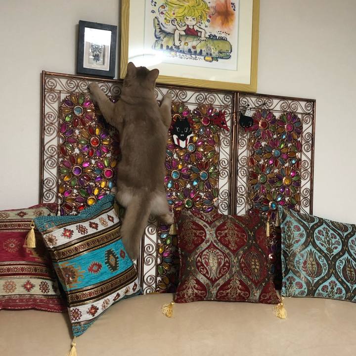 Ecc63e36 b26c 440a 85b5 1033b8deda18 1575554046388