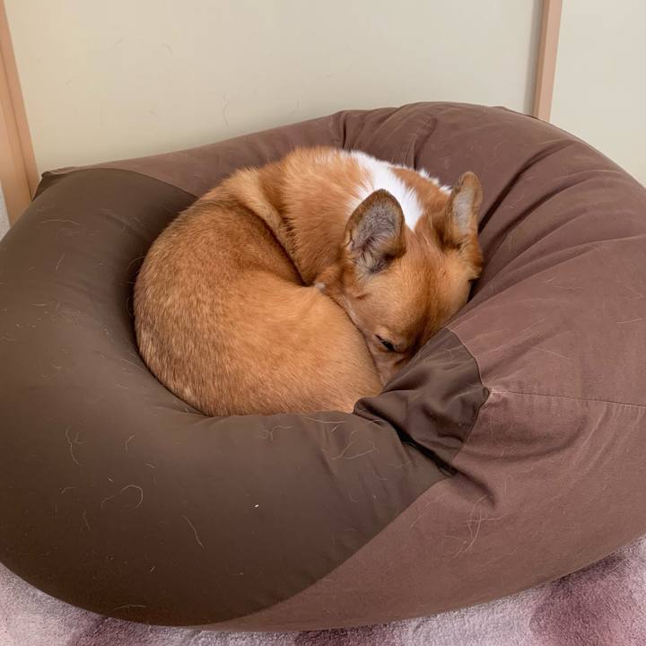 Ecc68a19 4be2 42ec 98e7 a42a4f7cd529 1701990802465