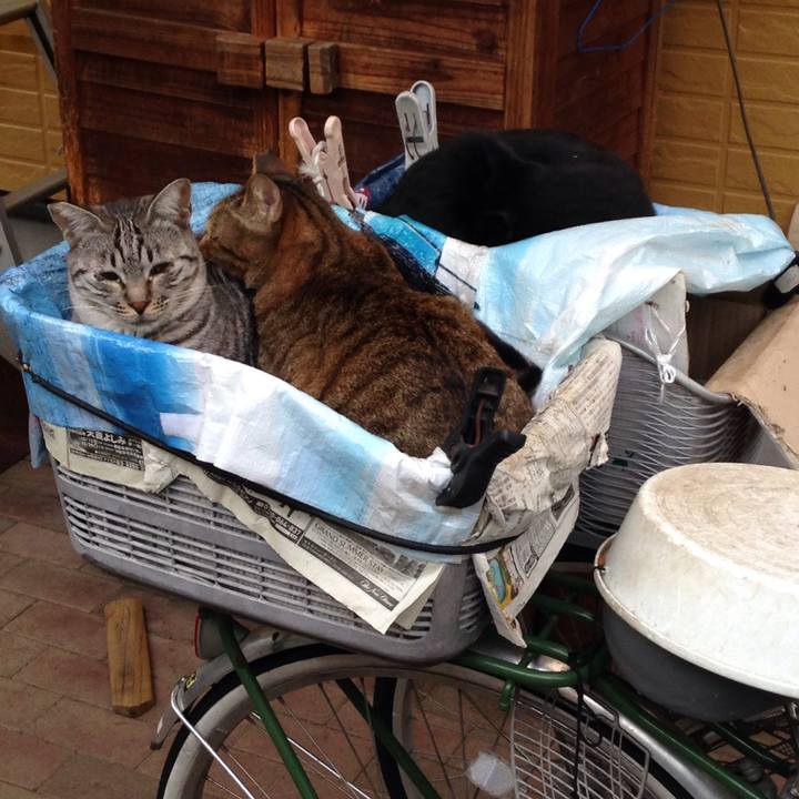 Ecc6d470 2aa2 4153 b9e0 6c7602731e5f 1508851656204