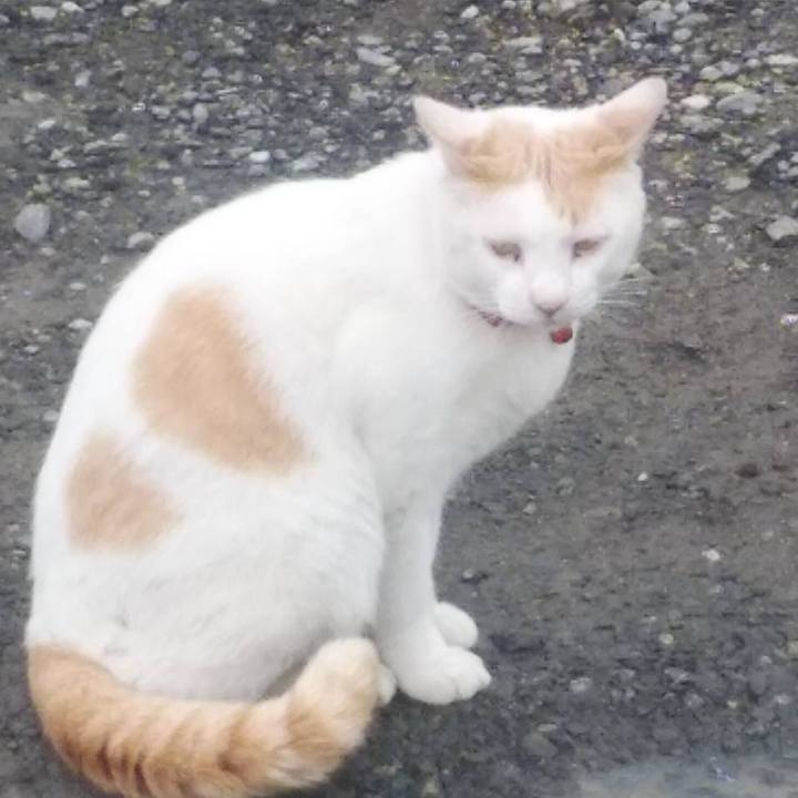 Ecc6dd72 de88 4762 ae2b 73b79c2f277c 1590191956805