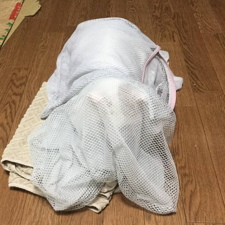 Ecc6f39e ac41 4d28 ba4c d7d5665772af 1574133449128