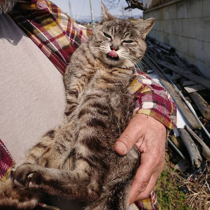 Ecc71979 d758 4a8c 86e8 538bb1bbb492 1584755052291