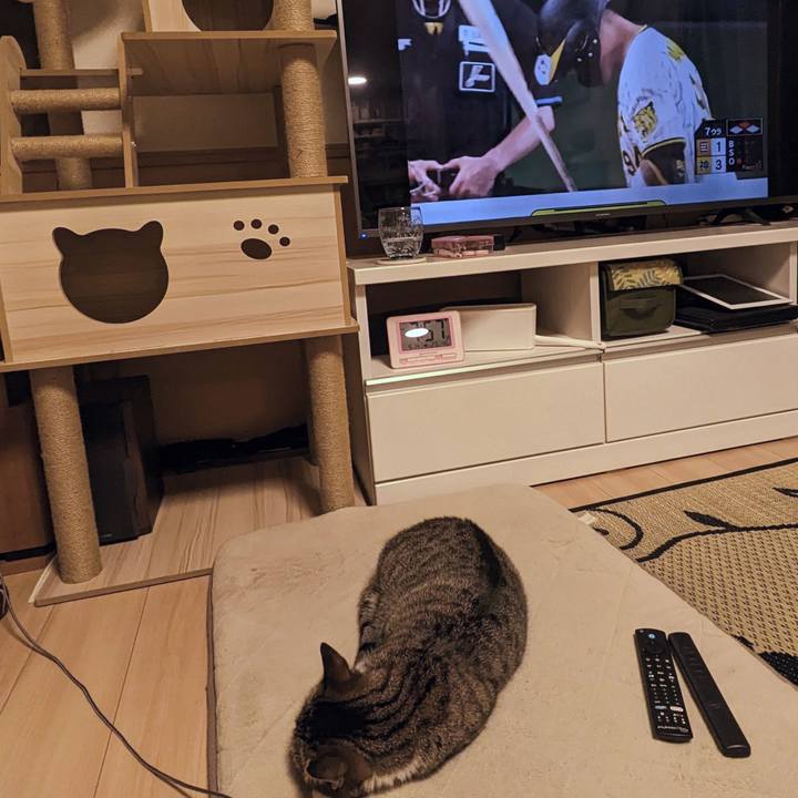 Ecc71ac9 f10b 4793 8ed8 8e49c088a3d5 1694689207471