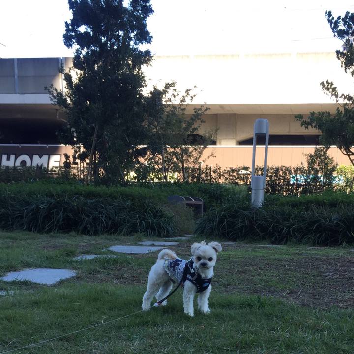 Ecc71d0b ec2c 4c0d aea0 1292a8430202 1508763298621