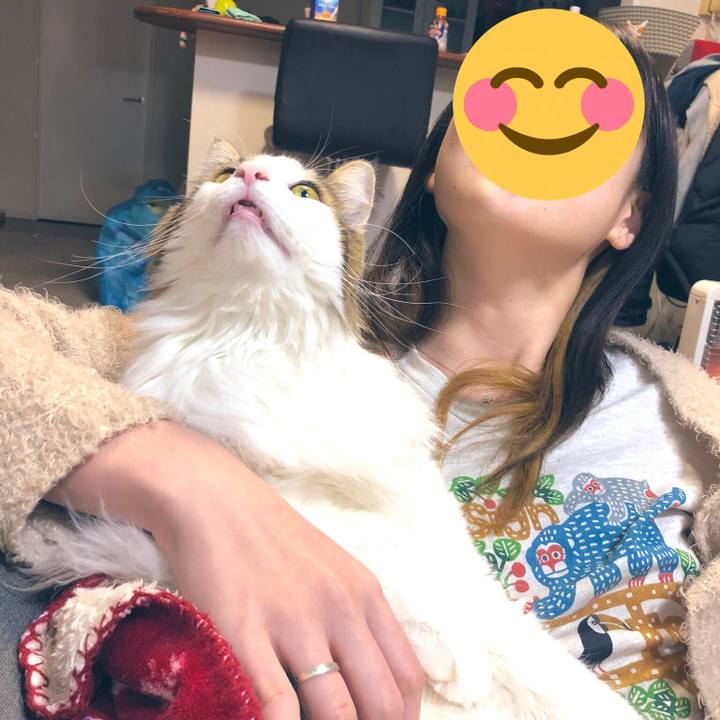 Ecc7244e 2f1b 40cd b3b1 3420bb3d80bc 1547552737073