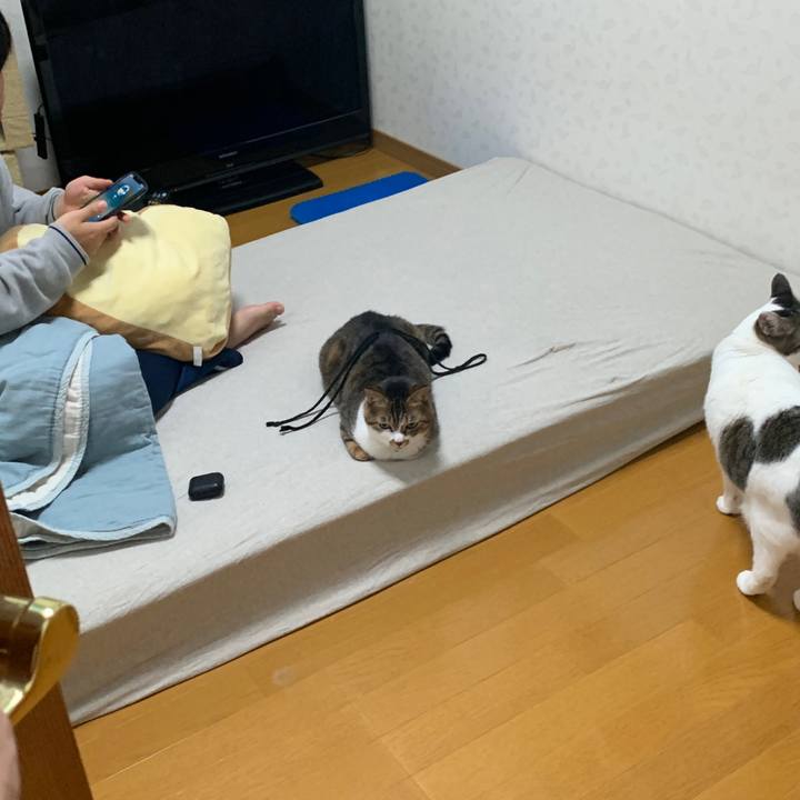 Ecc750a8 a95b 4407 be11 937a72525e9f 1648648443097