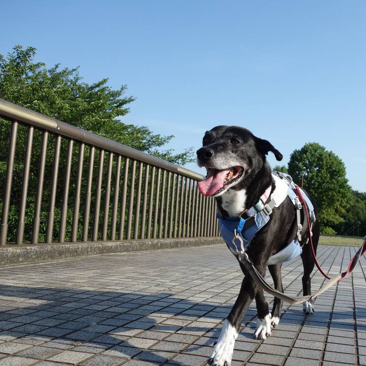 Ecc76559 da85 48f8 9182 d24b12722788 1753142635845