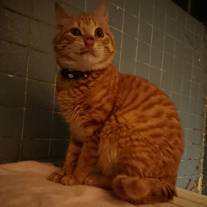 Ecc7852a efc4 4c79 b2a7 34ec2fb0a5df 1641720467505