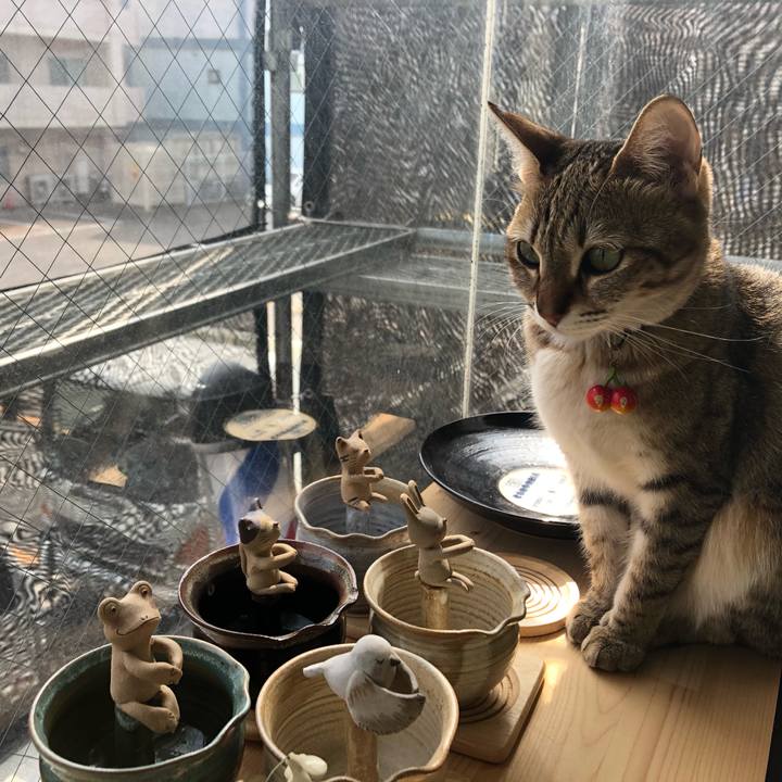 Ecc7a3d7 1805 40bb bc8d 2c9112be8200 1617939944445