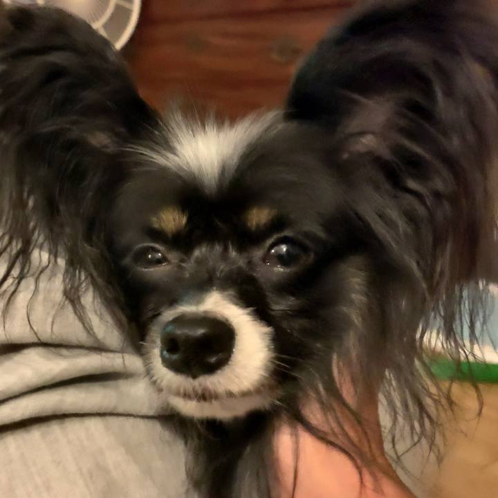 Ecc842df 80bb 4cc4 8961 2cb45579eed5 1569068378131