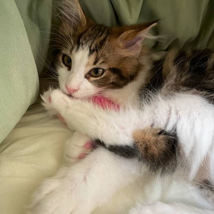 Ecc8c789 8323 4f1d a737 4c62925fd100 1632779243499