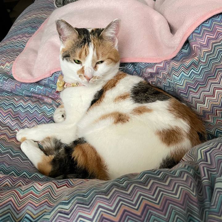 Ecc8e405 1e97 4dad 994c 2ea91cb579d4 1648252831484