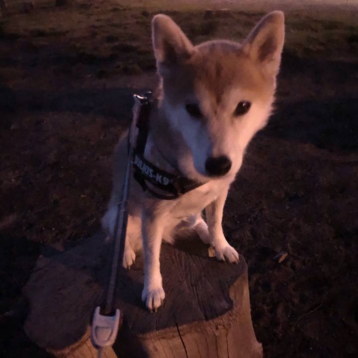 Ecc90cef d71b 4604 a9a7 0e55094da507 1571905968568