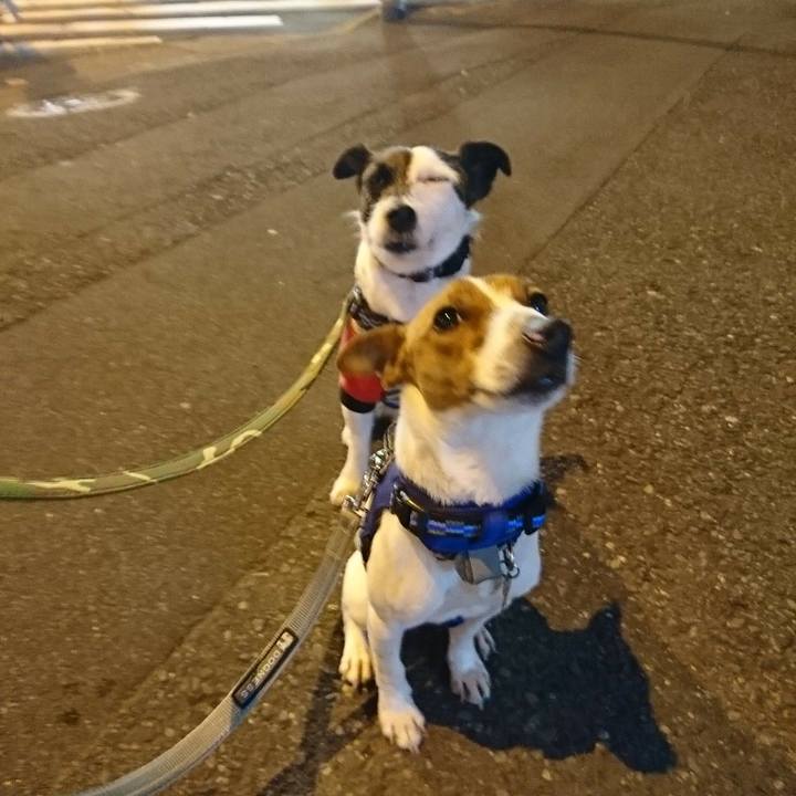 Ecc93379 cab7 427b af67 926807b48dda 1524742482000