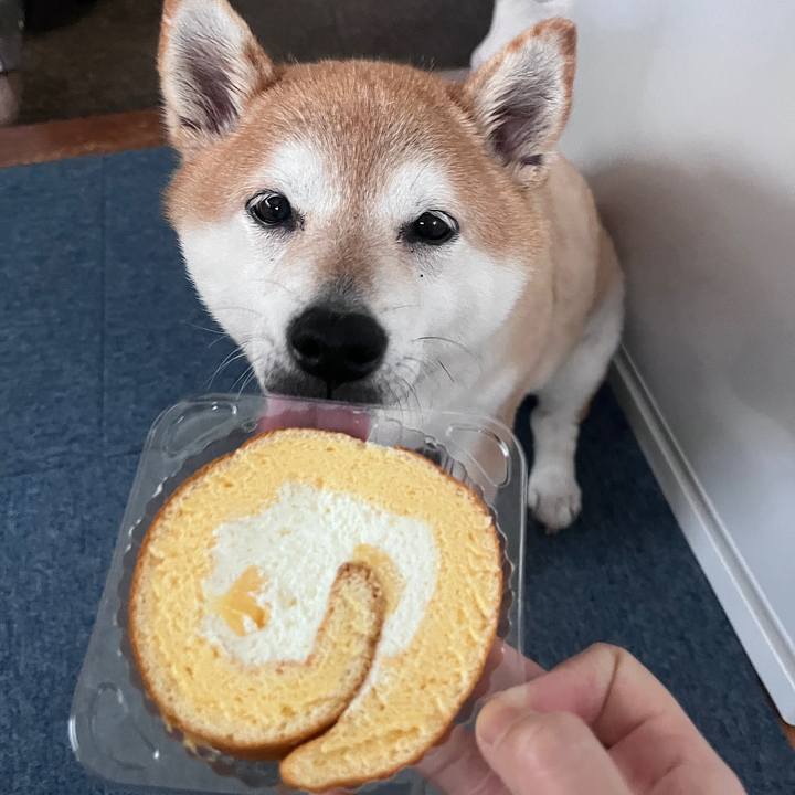 Ecc956be 9f27 4f90 a692 9fa484396b2b 1717142266301