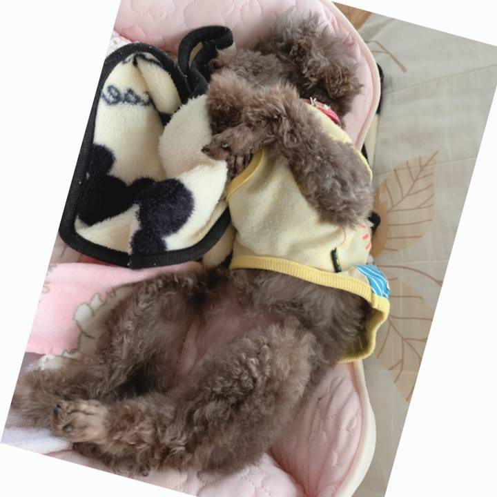 Ecc9b8c8 443d 448e 8097 f995ed6d6fb6 1650524536530