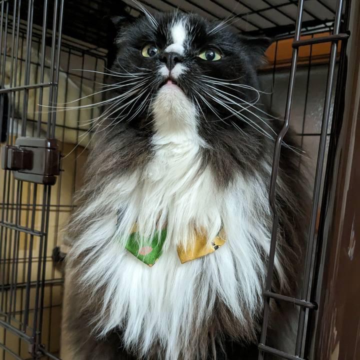 Ecc9e6ef 9d78 4522 87b7 a62d6a6d2df9 1695681586354