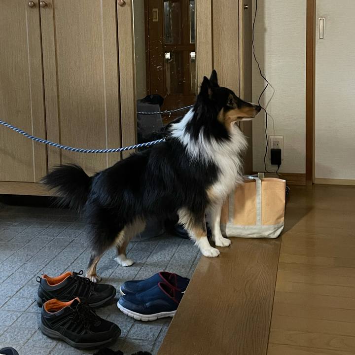 Ecca2aca becf 4ce1 9763 f86a9f003179 1610920064480