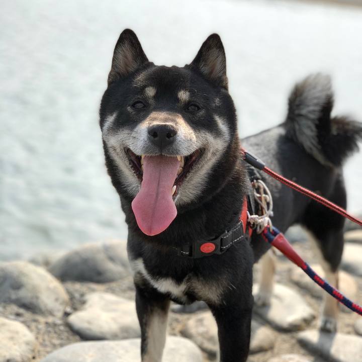 Ecca2bd3 5888 4ed2 ab34 d6ca219382ff 1582966985928