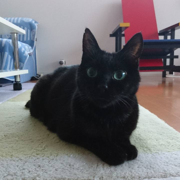 Ecca48b0 b48a 4d42 8d38 da0f14dd0c4b 1542717924375