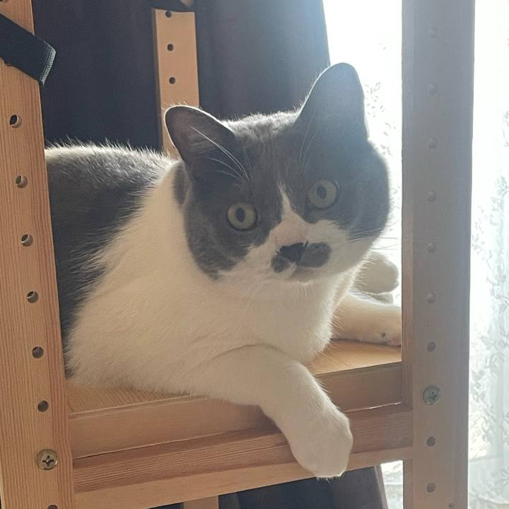 Ecca6d29 9da6 458e 9abb a9a56ebec33a 1754003299848