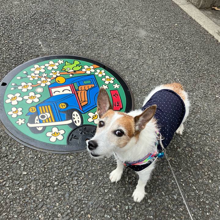 Ecca7255 eb50 4634 a5b7 0d605004e66e 1665011945465