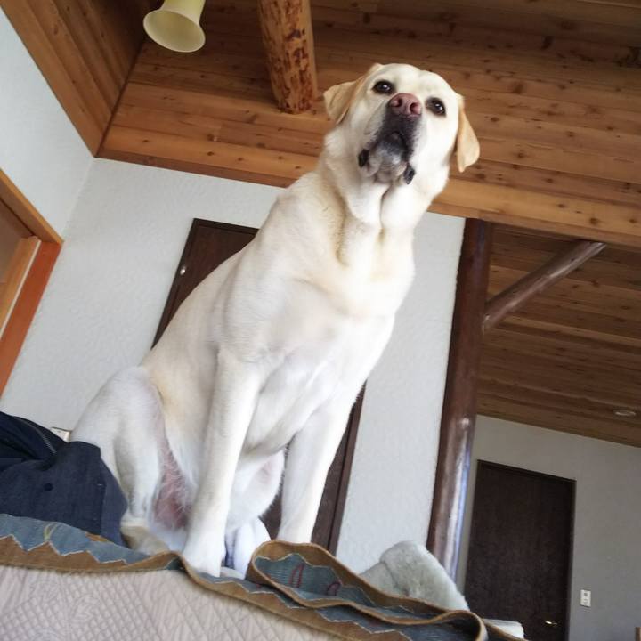 Ecca820c 1490 49c5 8f3d 9950bc127409 1556793158142