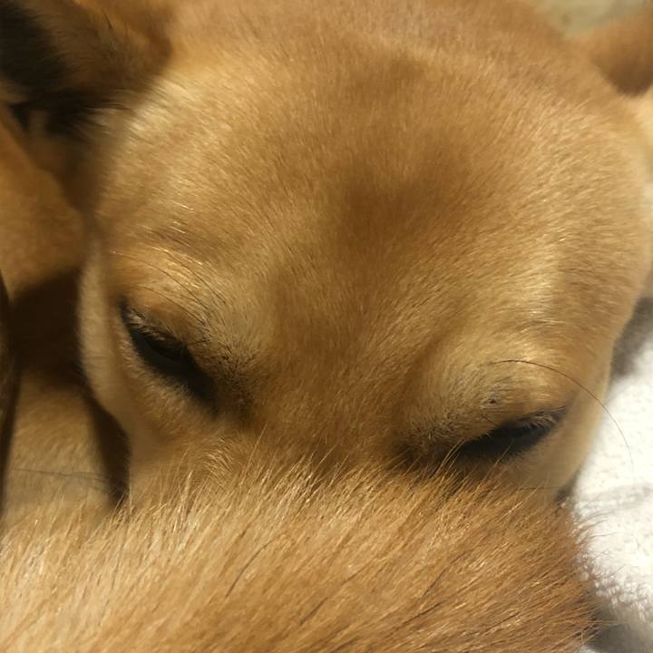 Eccab300 6a1c 40ca 84a9 9332d4f2c080 1577508304979