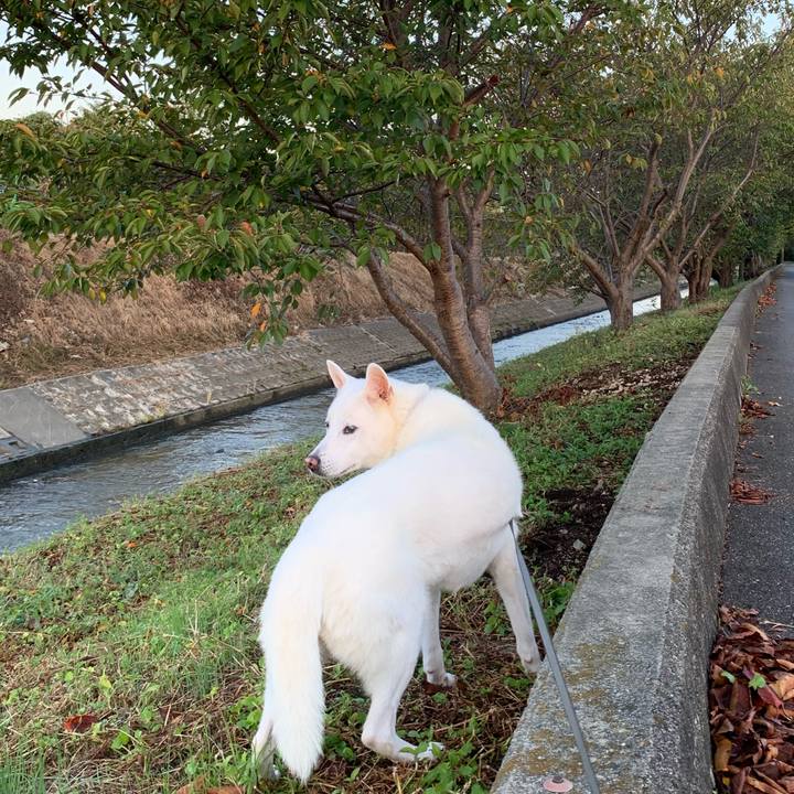 Eccb2054 c770 41b1 8308 0678b93b9dff 1571181528098