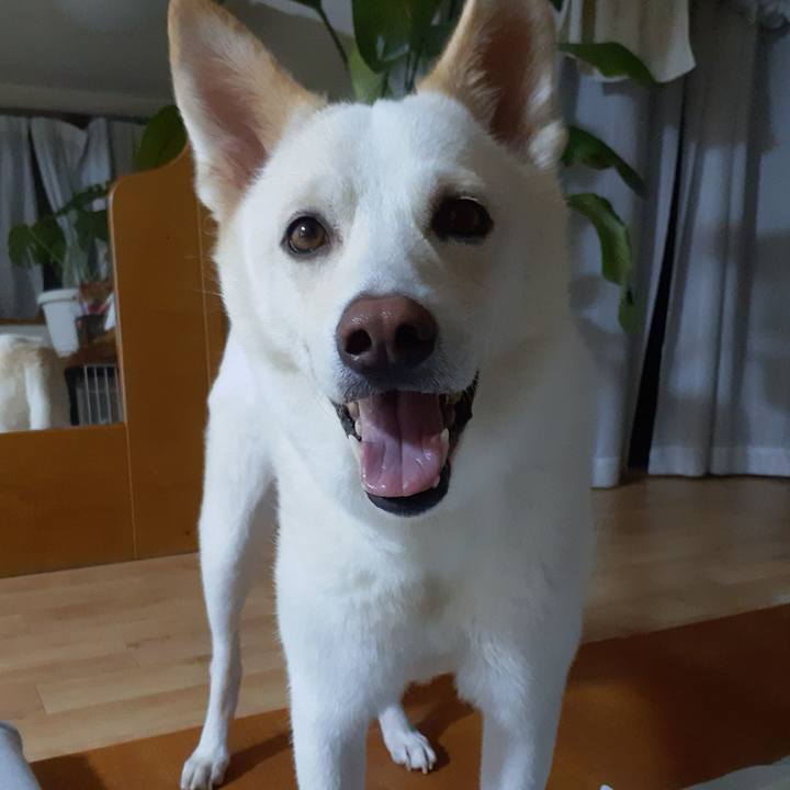 Eccb23ea a18b 4ac6 a469 c83a70e0df87 1662207474514