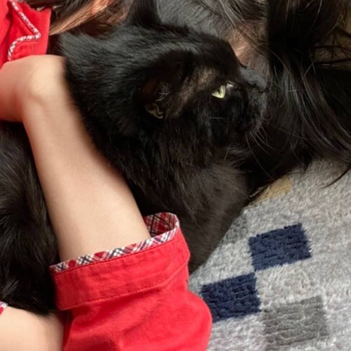 Eccb3553 31bf 470c 84a3 a16a44c117a3 1590468859853