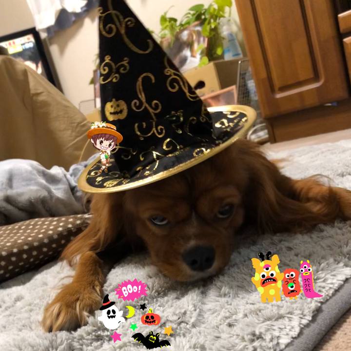 Eccb356e d30c 436a 9555 e163f7095268 1572349544629