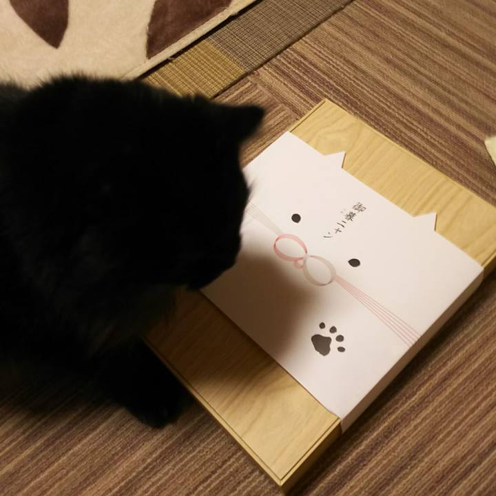 Eccb4335 d2fd 4e81 8b0c 24b2896e71b2 1544536344187