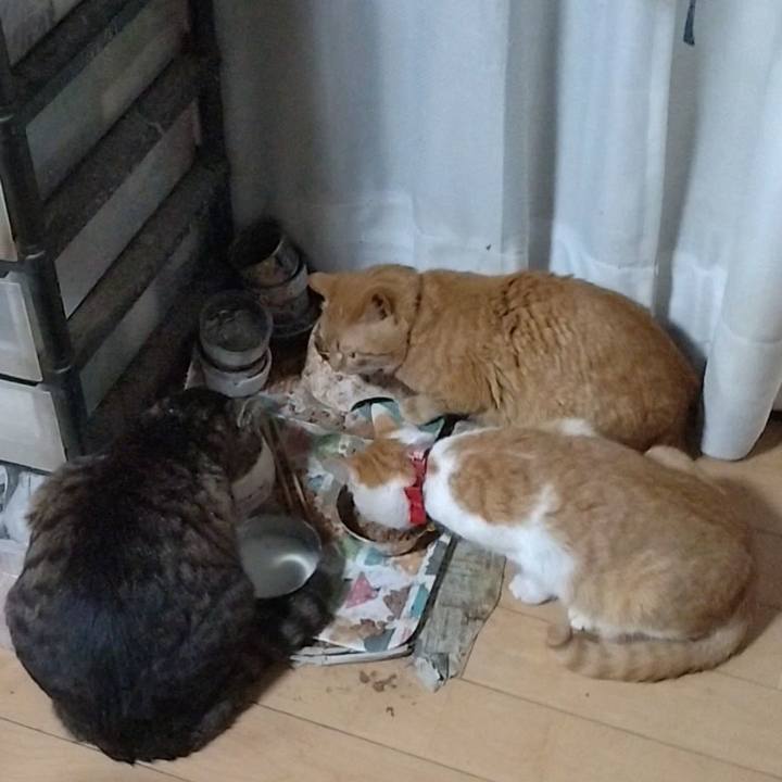 Eccb4a20 909c 4141 bd9c b4fbdec0550c 1745911234736