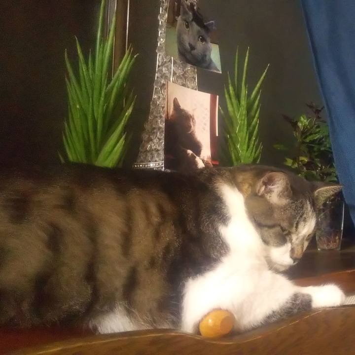 Eccb5adf de57 4915 be4d cec4d324b892 1690975554949