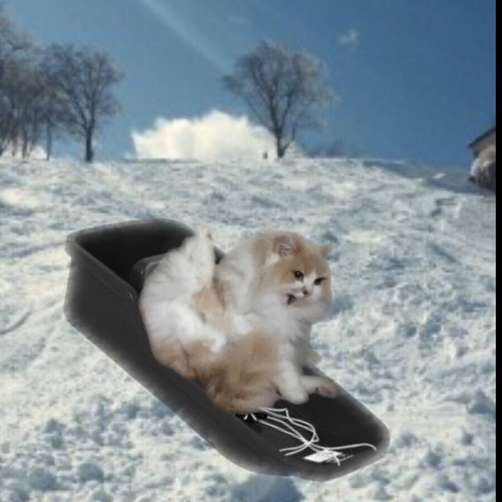 Eccb77c5 57e5 4a36 a77c cb400ce28d89 1547382731577