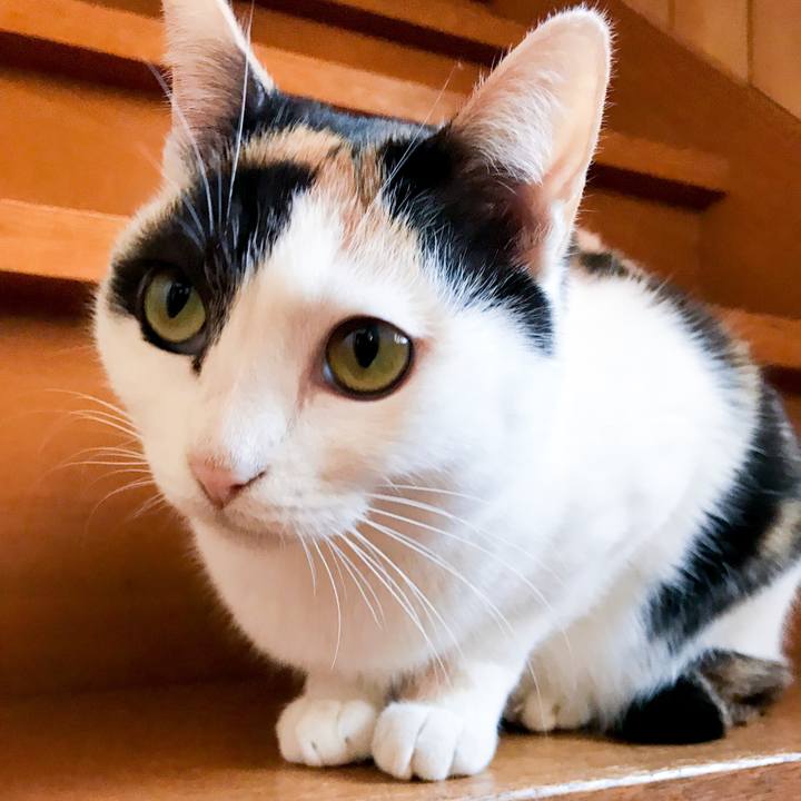 Eccbebe4 0dc9 48b7 b9ed 716016d0ede9 1516411158478