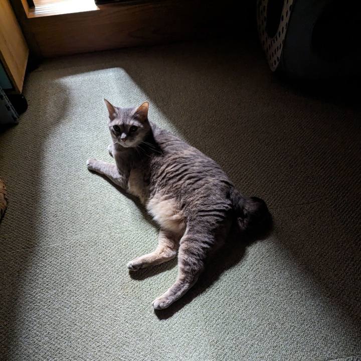 Eccc0575 234d 4293 b0e6 eb77da5af086 1705635329899