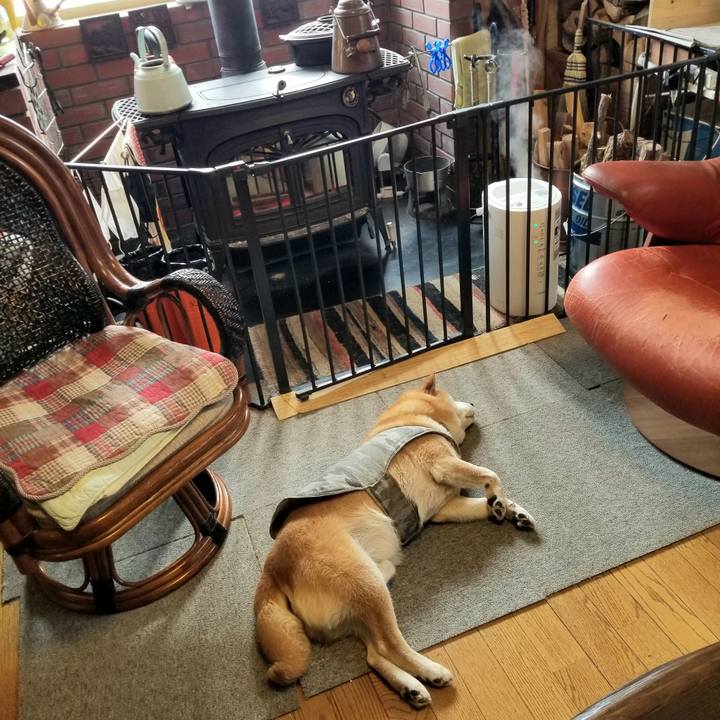 Eccc43b6 b13f 4582 873e b09a2288c2a9 1644537602622